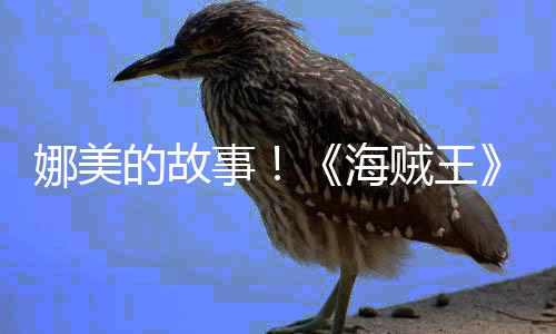 娜美女主的故开贼王事海画P传动角外V公全